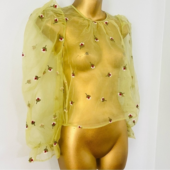 Zara Sheer Floral Puff Sleeve Top XS | Pistachio Green Romantic Euro Chic - Picture 4 of 5